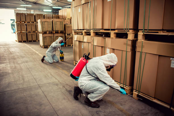 Best Termite Control Services  in Adamsville, AL