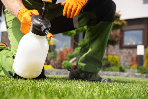 Best Local Pest Control Services  in Adamsville, AL