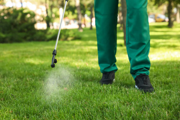 Best Exterminator Services  in Adamsville, AL