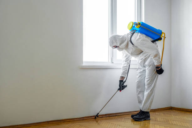 Best Insect Control  in Adamsville, AL
