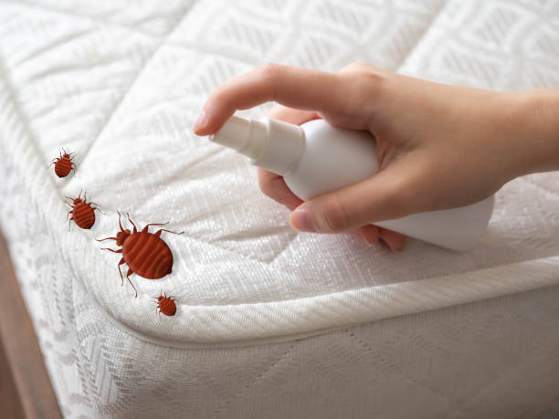 Best Affordable Pest Control Services  in Adamsville, AL