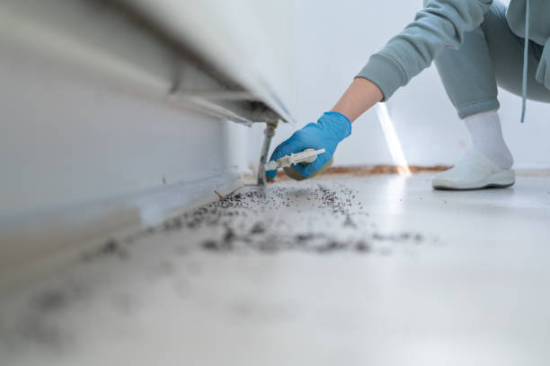 Best Mosquito Control Services  in Adamsville, AL